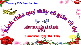 Giáo án điện tử TN&XH 3 Bài 9 Kết nối tri thức: Hoạt động sản xuất nông nghiệp