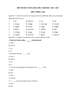 Đề thi học sinh giỏi lớp 6 môn Tiếng Anh năm học 2018 - 2019 số 8