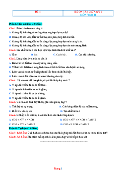 TOP 2 đề ôn tập giữa học kỳ I môn sinh 11