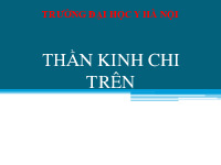 Bài giảng về Thần kinh chi trên môn Phẫu thuật thực hành | Trường Đại học Y Hà Nội