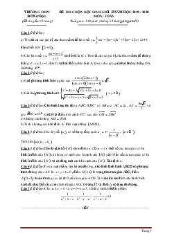 Đề thi hsg toán 12 trường đồng đậu năm 2019-2020 có đáp án