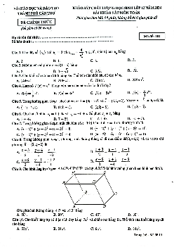 Đề khảo sát chất lượng học sinh Toán 12 năm 2024 sở GD&ĐT Cần Thơ