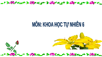 Giáo án điện tử Khoa học tự nhiên 6 bài 12 Chân trời sáng tạo : Nhiên liệu và an ninh năng lượng