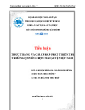 Tiểu luận : Thực trạng và giải pháp phát triển thị trường quyền chọn ngoại tệ Việt Nam | Trường Đại học Kinh Tế TPHCM