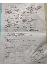 Đề thi vào lớp 10 môn tiếng anh của Sở GD&ĐT tỉnh An Giang năm 2025