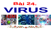 Giáo án điện tử Khoa học tự nhiên 6 bài 24 Chân trời sáng tạo : Virus