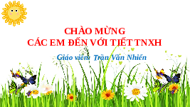 Giáo án điện tử Tự nhiên và xã hội 2 Bài 3 Chân trời sáng tạo : Phòng tránh ngộ độc khi ở nhà.