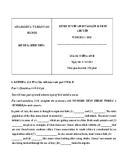 Đề thi Tuyển sinh vào lớp 10 THPT Chuyên Chu Văn An & Hà Nội Amsterdam môn Tiếng Anh (chuyên) năm 2021