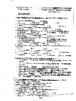 Đề thi chọn học sinh giỏi Tiếng Anh lớp 12 TP HCM năm học 2003-2004