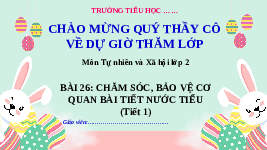 Giáo án điện tử Tự nhiên và Xã hội 2 Bài 26 Kết nối tri thức: Chăm sóc, bảo vệ cơ quan bài tiết nước tiểu