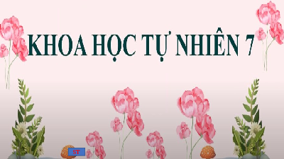 Giáo án điện tử Khoa học tự nhiên 7 bài 3 Kết nối tri thức : Nguyên tố hoá học