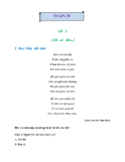 Bài tập cuối tuần lớp 3 môn Tiếng Việt Cánh diều - Tuần 28 (Nâng cao)