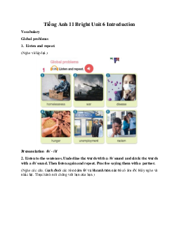 Giải Tiếng Anh 11 Unit 6 Introduction | Bright