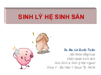 Bài giảng giải phẫu sinh lý Hệ sinh sản | Đại học Y dược thành phố Hồ Chí Minh