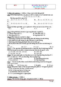 TOP 20 Đề Thi Học Kỳ 1 Sinh Học 9 (có lời giải)