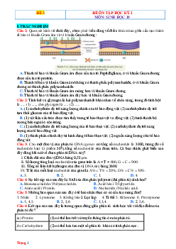 Đề ôn thi HK1 môn Sinh 10 Kết nối tri thức-Đề 3 (có đáp án)