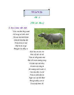 Bài tập cuối tuần lớp 2 môn Tiếng Việt Cánh Diều - Tuần 25 (Nâng cao)