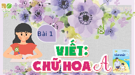 Giáo án điện tử Tiếng Việt 2 Tập 1 Bài 1 Kết nối tri thức: Tôi là học sinh lớp 2 - Viết: Chữ hoa A