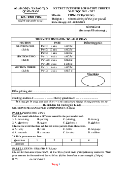Đề thi tuyển sinh lớp 10 vào Trường THPT Chung năm 2021-2022 môn Tiếng Anh Sở GD Quảng Nam (có lời giải)