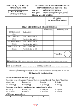 Đề thi tuyển sinh lớp 10 vào Trường THPT Chung năm 2022-2023 môn Tiếng Anh Sở GD Quảng Nam (có lời giải)