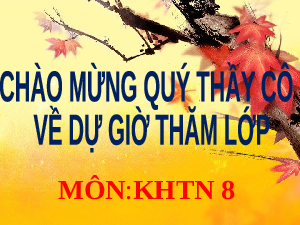 Giáo án điện tử Khoa học tự nhiên 8 Bài 16 Kết nối tri thức: Áp suất chất lỏng. Áp suất khí quyển