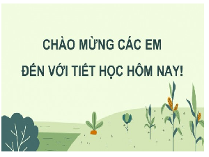Giáo án điện tử Công nghệ 7 Bài 8 Chân trời sáng tạo: Nghề chăn nuôi ở Việt Nam
