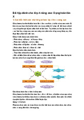 Bài tập dành cho lớp 4 nâng cao: Dạng toán tìm X