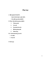 Phân tích chuỗi cung ứng của Bitis | Quản trị rủi ro tài chính