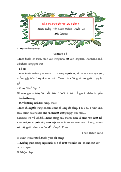 Bài tập cuối tuần Tiếng Việt lớp 3 Cánh Diều Tuần 28 cơ bản