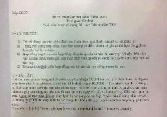 Đề thi cuối kỳ học phần Các hợp đồng thông dụng năm 2024 - 2025 | Đại học Luật Thành phố Hồ Chí Minh