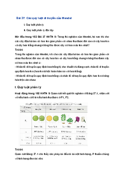 Giải Khoa học tự nhiên 9 Kết nối tri thức Bài 37: Các quy luật di truyền của Mendel