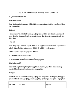 Địa lí 10 Bài 23: Vai trò, đặc điểm, các nhân tố ảnh hưởng tới phát triển và phân bố nông nghiệp, lâm nghiệp, thủy sản