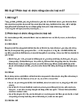 Mô là gì? Phân loại và chức năng của các loại mô?