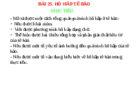 Giáo án điện tử Khoa học tự nhiên 7 bài 25 Chân trời sáng tạo : Hô hấp tế bào
