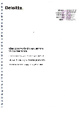 Báo cáo tài chính công ty Việt Tiến 2020 | Đại học Kinh tế Kỹ thuật Công nghiệp