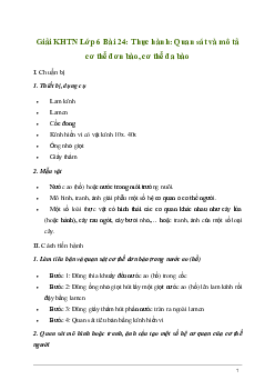 Giải KHTN Lớp 6 Bài 24: Thực hành: Quan sát và mô tả cơ thể đơn bào, cơ thể đa bào | Kết nối tri thức