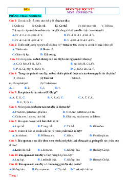 Đề ôn thi HK1 môn Sinh 10 Kết nối tri thức-Đề 4 (có đáp án)