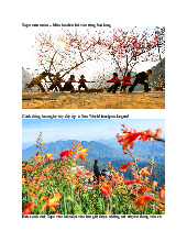 Sapa Mùa Xuân: Khám Phá Vẻ Đẹp Thiên Nhiên và Văn Hóa | Quy hoạch du lịch | Đại học Tôn Đức Thắng