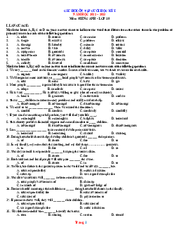 Câu hỏi ôn tập học kỳ 1 Tiếng Anh 10 năm 2022-2023