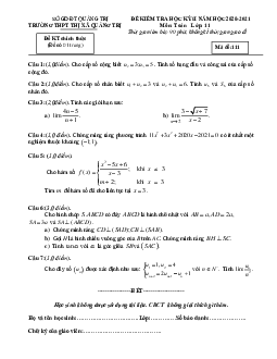 Đề thi học kỳ 2 Toán 11 năm 2020 – 2021 trường THPT Thị xã Quảng Trị