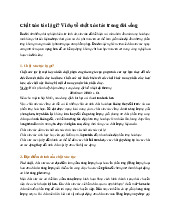 Chất xúc tác là gì? Ví dụ về chất xúc tác trong đời sống - Hóa học 9