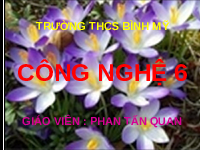 Giáo án điện tử Công nghệ 6 Bài 3 Chân trời sáng tạo: Ngôi nhà thông minh