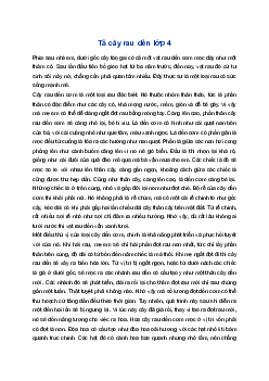 Tả cây rau dền | Tập làm văn 4