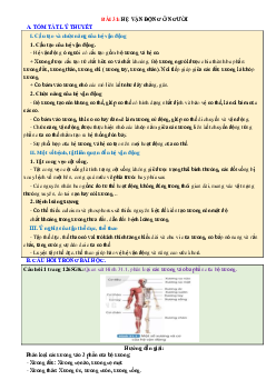 Chuyên đề KHTN 8 Kết nối tri thức bài 31 Hệ vận động ở người