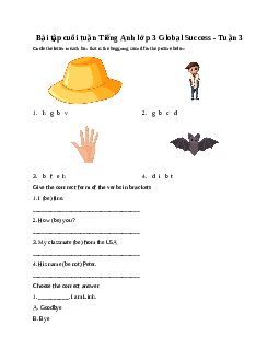 Bài tập cuối tuần Tiếng Anh lớp 3 Global Success - Tuần 3