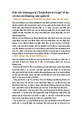 Rào cản thương mại (Trade Barrier) là gì? Ví dụ về rào cản thương mại quốc tế