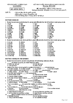 Đề thi Tuyển sinh lớp 10 THPT TP Hải Phòng năm học 2019-2020 môn Tiếng Anh (chuyên)