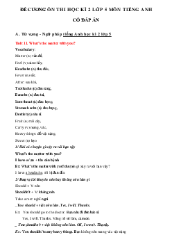 Đề cương ôn thi học kì 2 lớp 5 môn tiếng Anh theo từng Unit năm 2023