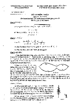 Đề thi chọn học sinh giỏi Toán 9 cấp tỉnh năm 2013 – 2014 sở GD&ĐT Đồng Tháp
