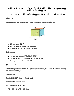 Giải Toán lớp 7 bài 1: Hình hộp chữ nhật - Hình lập phương | Chân trời sáng tạo